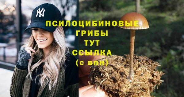 сатива Алексеевка