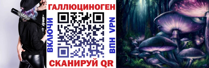 где найти   Сосновый Бор  kraken ONION  Галлюциногенные грибы мухоморы 