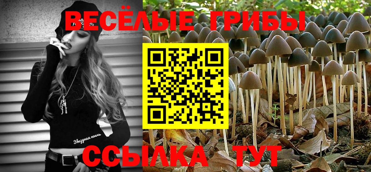 Псилоцибиновые грибы GOLDEN TEACHER Сосновый Бор