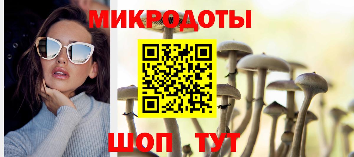 Галлюциногенные грибы Psilocybe  Вход с VPN  Сосновый Бор 