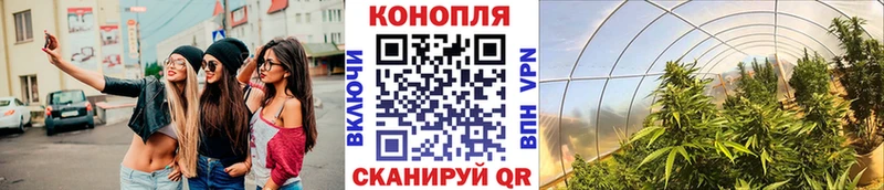 МАРИХУАНА ГИДРОПОН Сосновый Бор