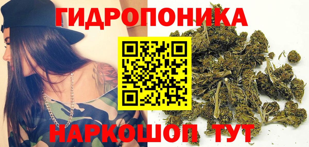 Шишки марихуана план  Бошки Шишки MAZAR  Вход с VPN  Шишки марихуана Bruce Banner  МАРИХУАНА сатива  Сосновый Бор 